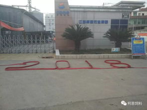 江西柯恩牧業 深耕農林牧業的領軍力量